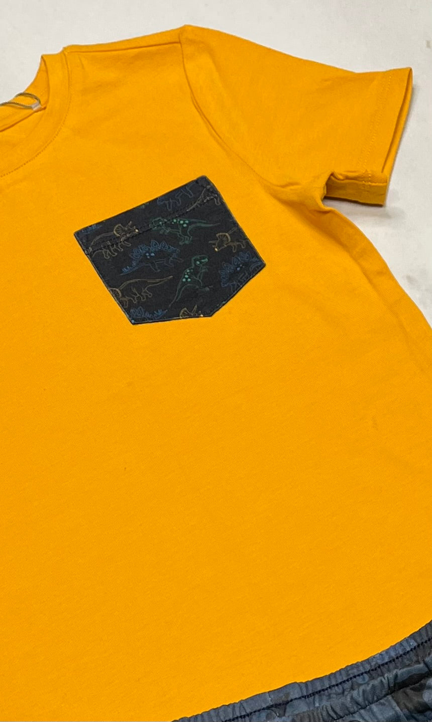🍂 T-Shirt : avec poche ( logo Dino ) Tag en beau coton stretch 5 ans neuf !