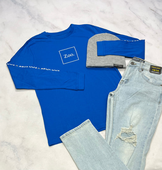 💙Zoo York : manche longue neuf ! 14 ans garçon .