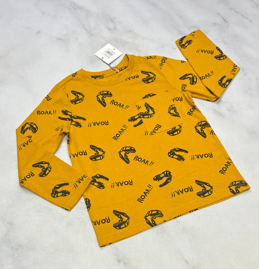 Manche longue : Dino Tag neuf! 4 et 5 ans