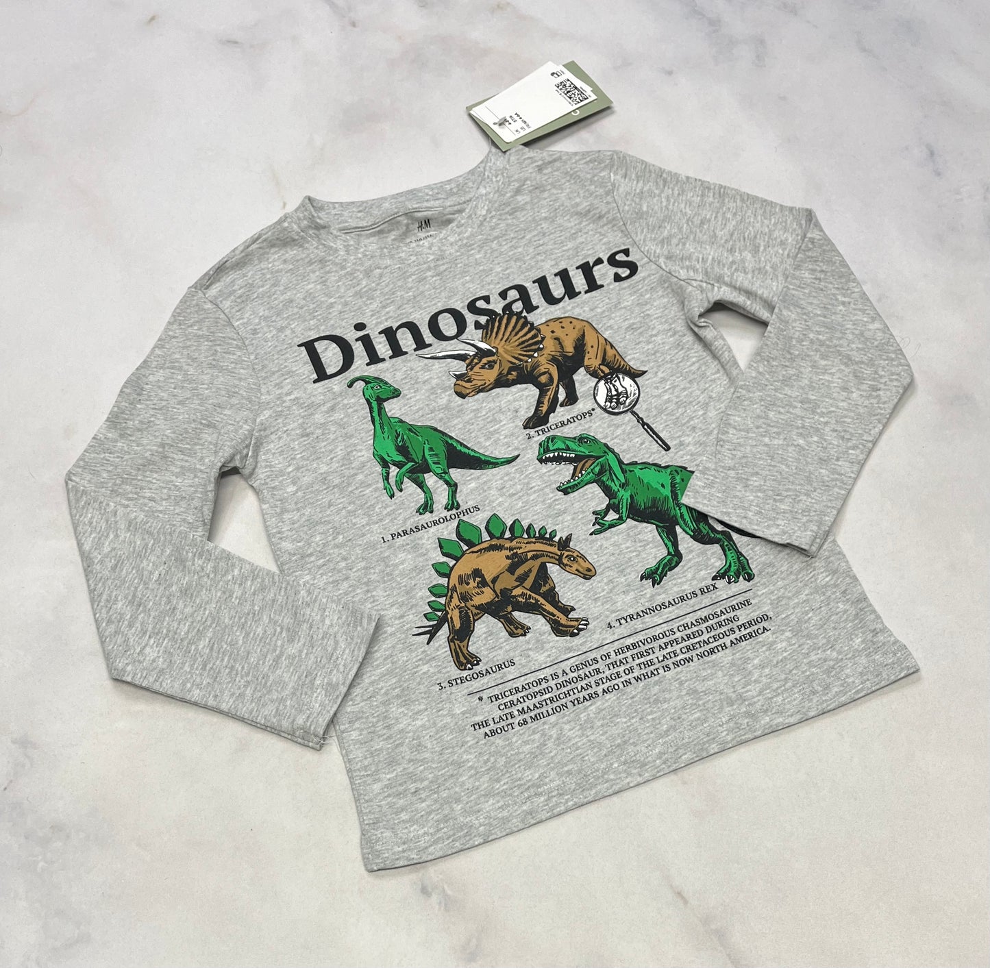 Manche longue Dino 5 ans neuf !
